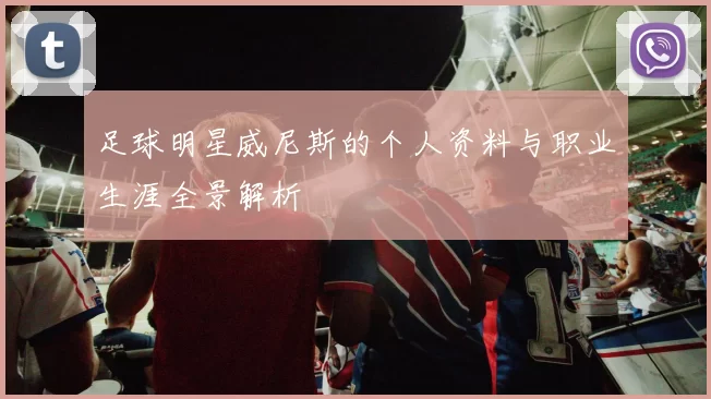 足球明星威尼斯的个人资料与职业生涯全景解析