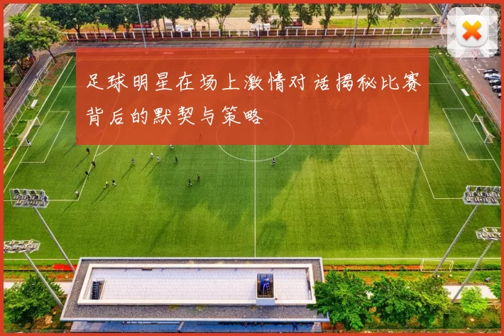 足球明星在场上激情对话揭秘比赛背后的默契与策略