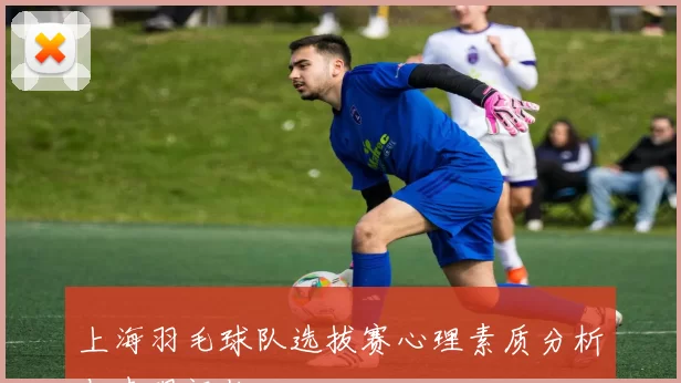 上海羽毛球队选拔赛心理素质分析与表现评估