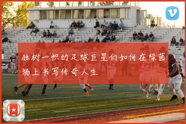 独树一帜的足球巨星们如何在绿茵场上书写传奇人生