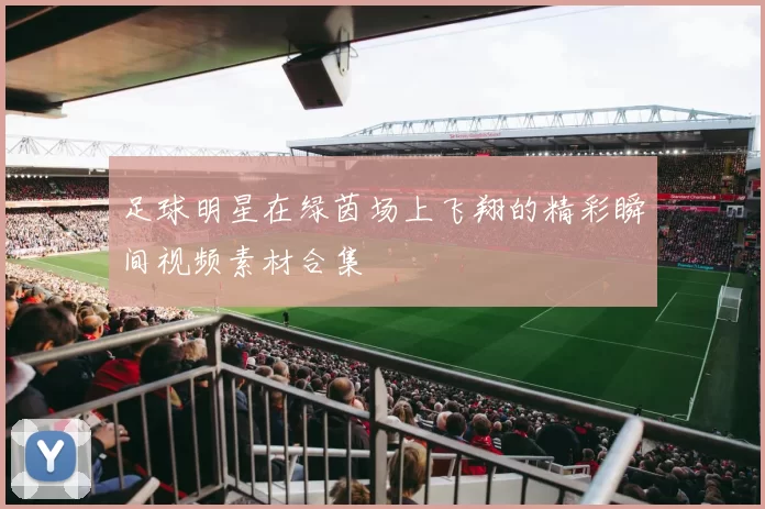 足球明星在绿茵场上飞翔的精彩瞬间视频素材合集