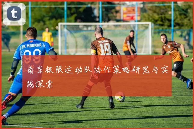 南京极限运动队协作策略研究与实践探索