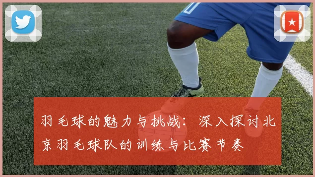 羽毛球的魅力与挑战：深入探讨北京羽毛球队的训练与比赛节奏