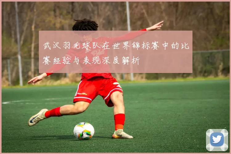 武汉羽毛球队在世界锦标赛中的比赛经验与表现深度解析