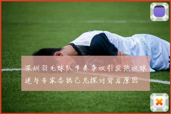 深圳羽毛球队节奏争议引发热议球迷与专家各执己见探讨背后原因