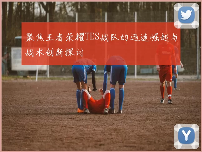 聚焦王者荣耀TES战队的迅速崛起与战术创新探讨