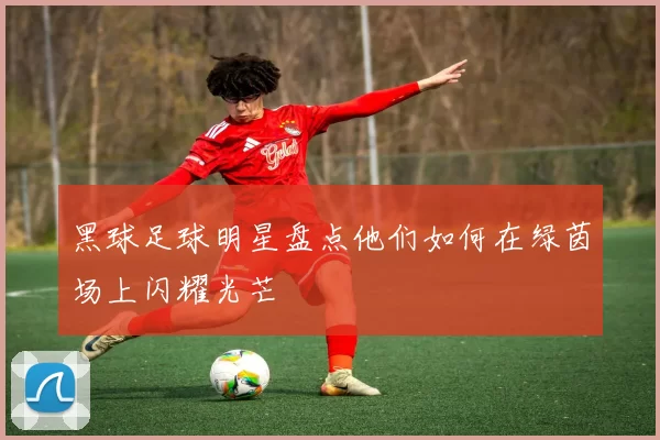 黑球足球明星盘点他们如何在绿茵场上闪耀光芒