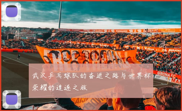 武汉乒乓球队的奋进之路与世界杯荣耀的追逐之旅