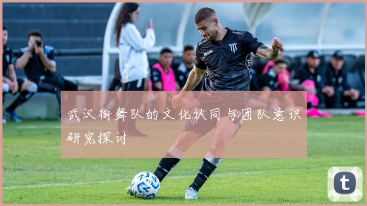 武汉街舞队的文化认同与团队意识研究探讨