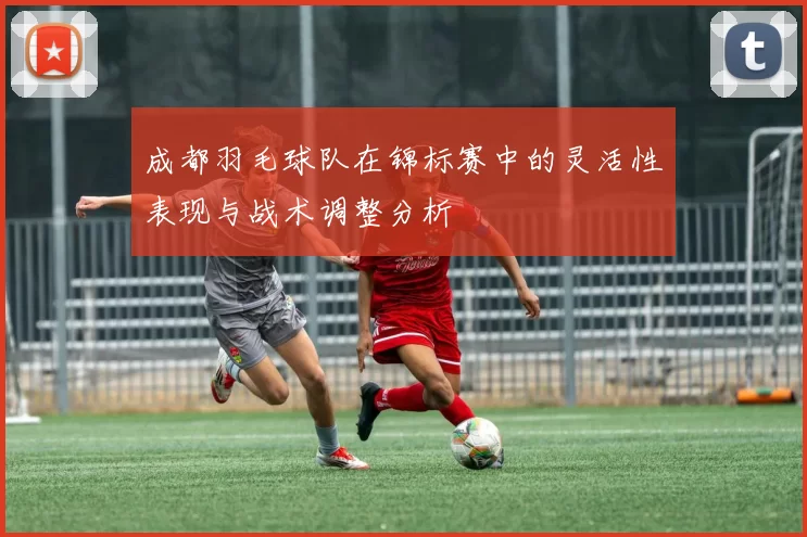 成都羽毛球队在锦标赛中的灵活性表现与战术调整分析