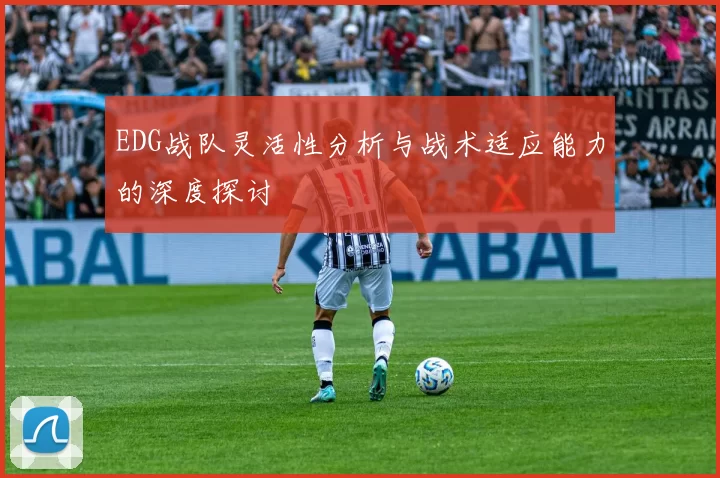 EDG战队灵活性分析与战术适应能力的深度探讨