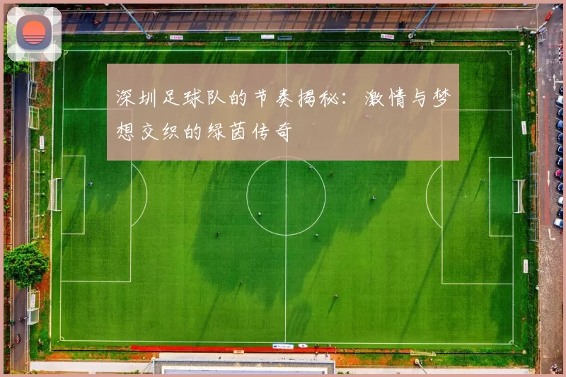 深圳足球队的节奏揭秘：激情与梦想交织的绿茵传奇